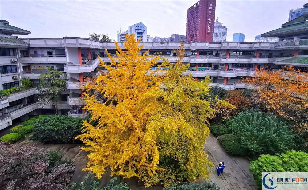 成都市泡桐樹中學(xué)2020年全國排名？