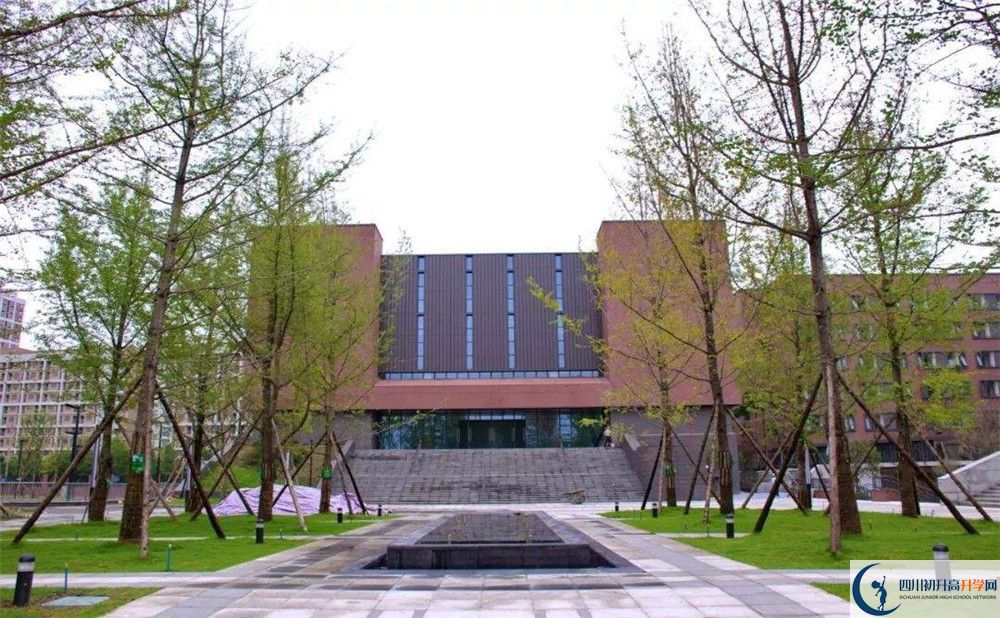 2020電子科技大學實驗中學初升高分班考試題難嗎？