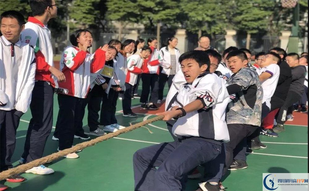 成都樹德中學(xué)面向全國招生嗎？
