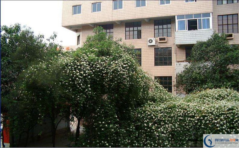 石室聯(lián)合中學(xué)蜀華分校2020屆高三數(shù)學(xué)測(cè)試題在哪看？