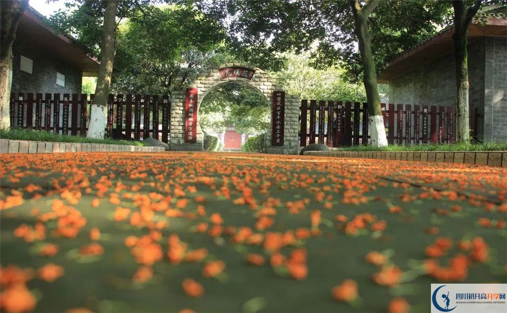成都七中高新校區(qū)平行班中考重點(diǎn)率是多少？