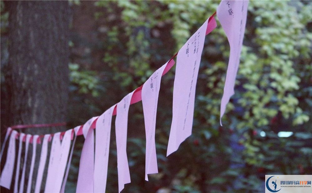 成都實(shí)驗(yàn)外國(guó)語(yǔ)學(xué)校（西區(qū)）平行班中考重點(diǎn)率是多少？