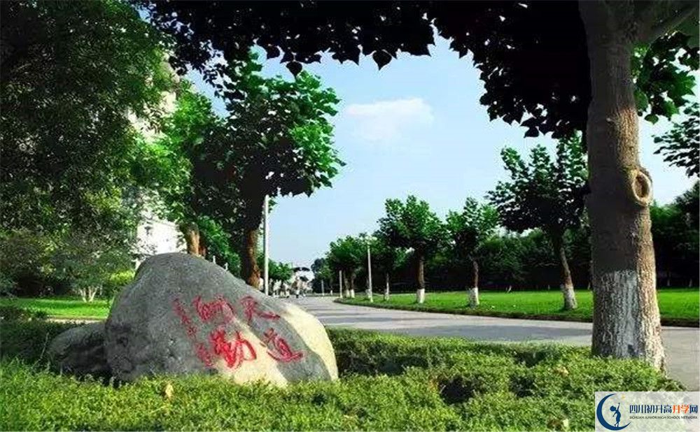 成都樹(shù)德中學(xué)補(bǔ)課嗎？
