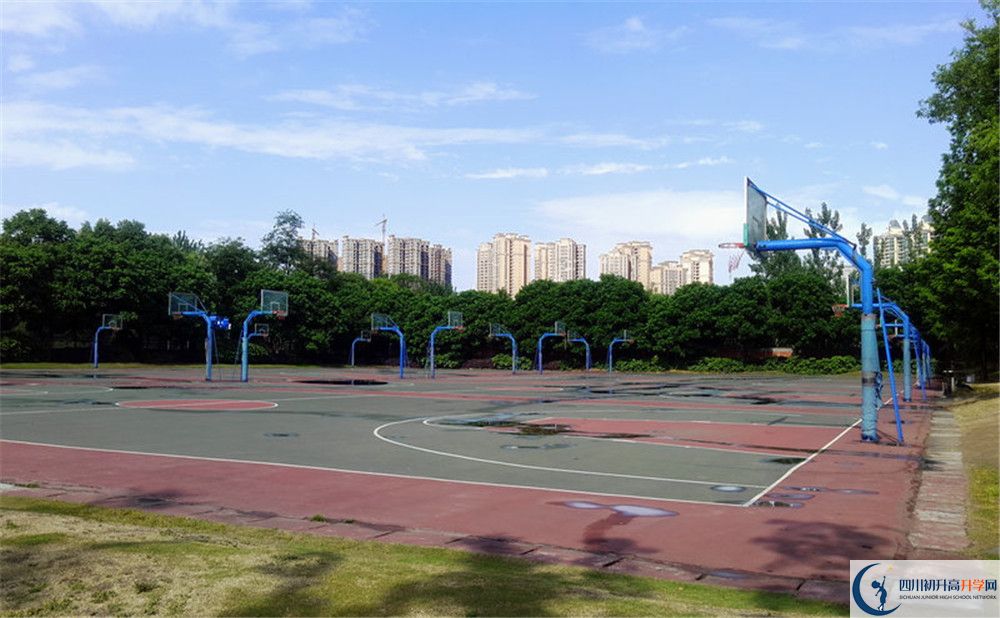 成都實驗外國語學(xué)校（西區(qū)）補課嗎？