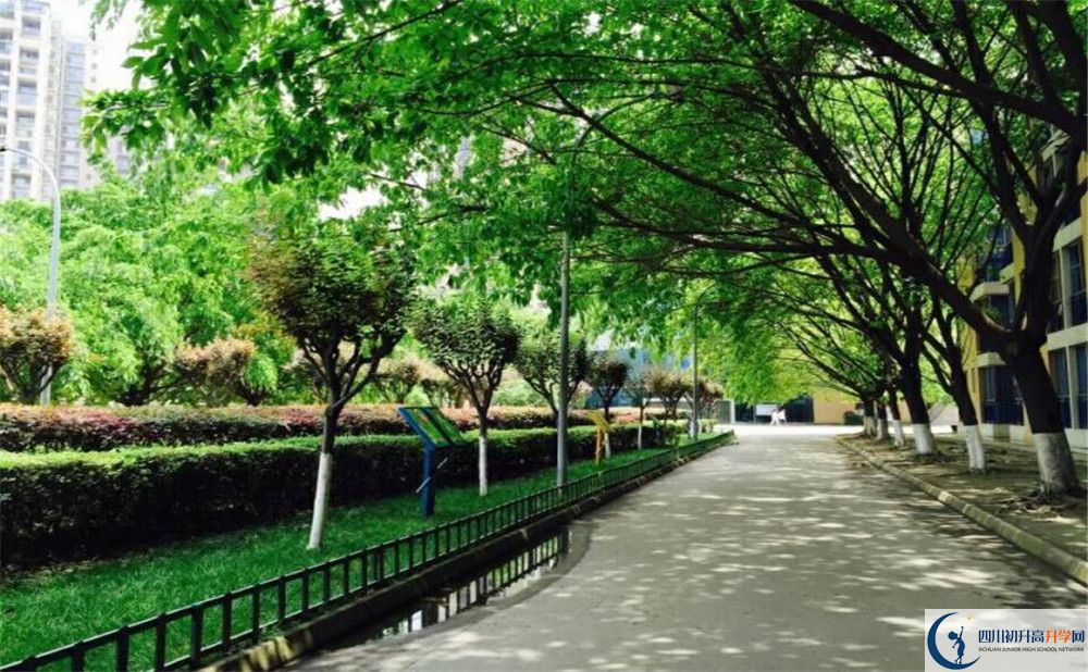 成都七中實驗學(xué)校2020年開學(xué)時間安排是怎樣的？