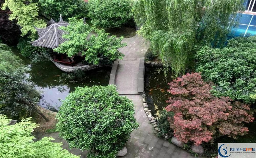 成都八中今年的錄取條件是否有變化？