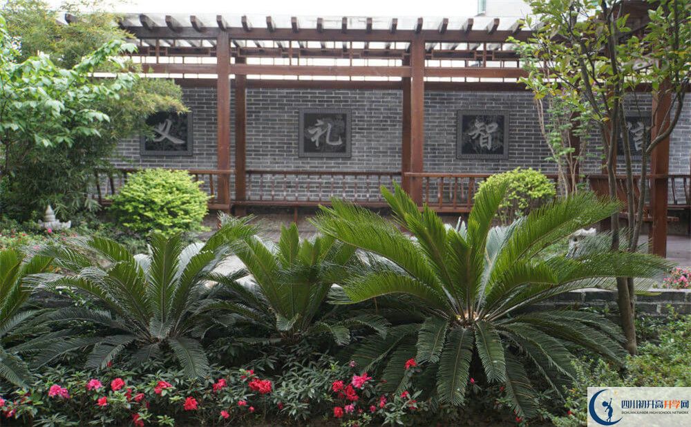 2020成都八中考自主招生條件是什么，有何變化？