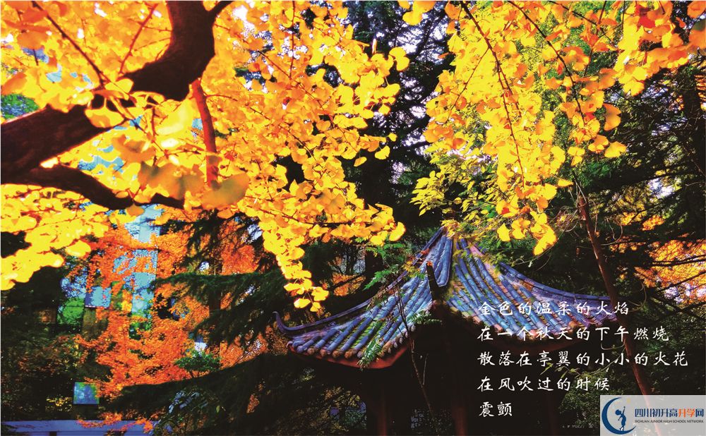 成都七中2020暑假放假時間安排？