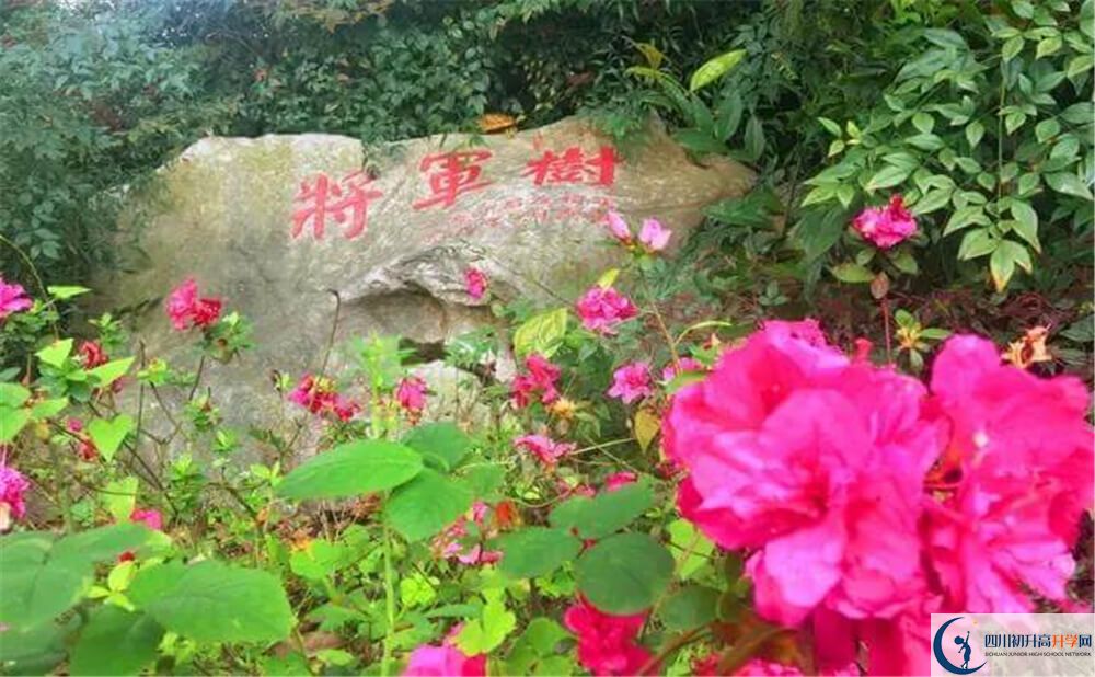 2020遂寧中學(xué)外國語實驗學(xué)校初升高錄取線是否有調(diào)整？