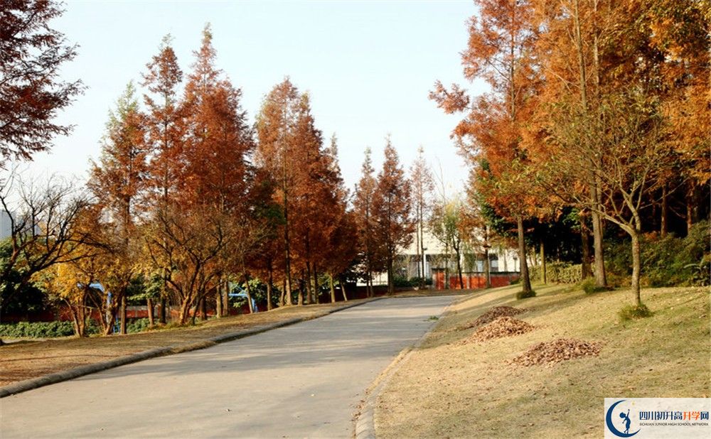 2020年成都實驗外國語學(xué)校西區(qū)住宿條件怎么樣？
