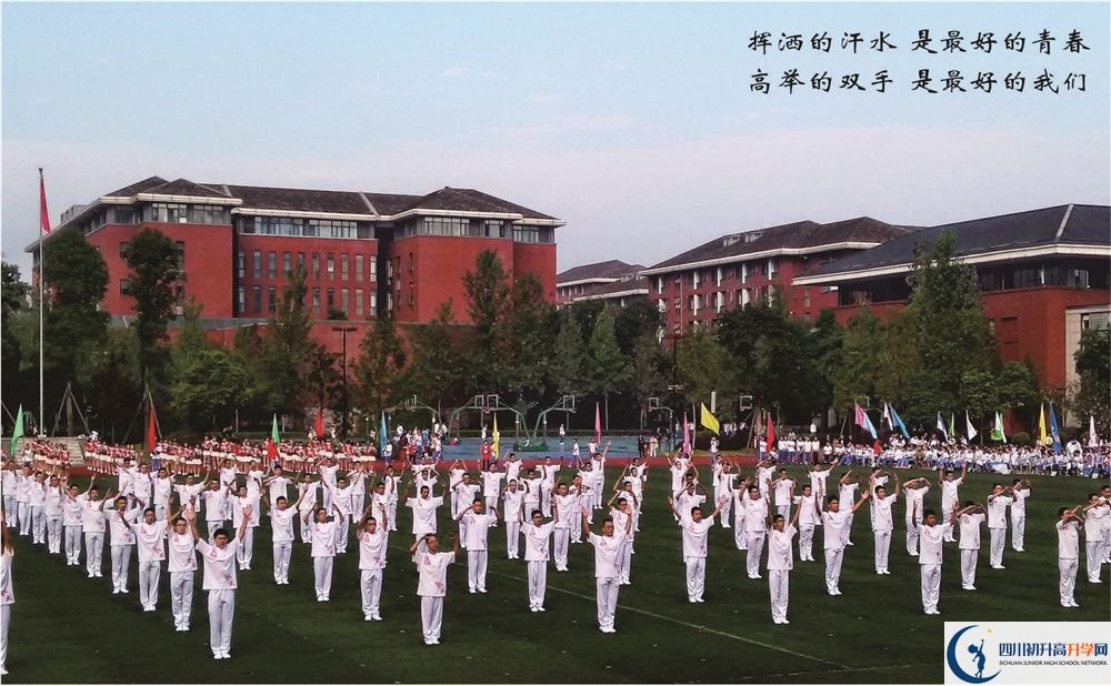 七中高新2020年排名高不高？