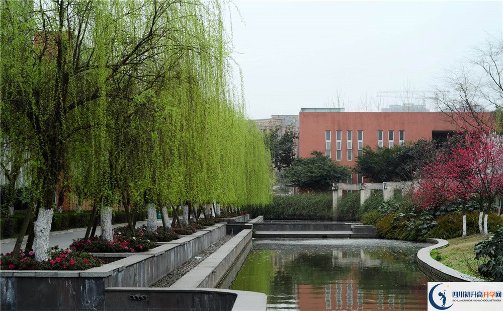 新都香城中學的哪個班2020年比較好？