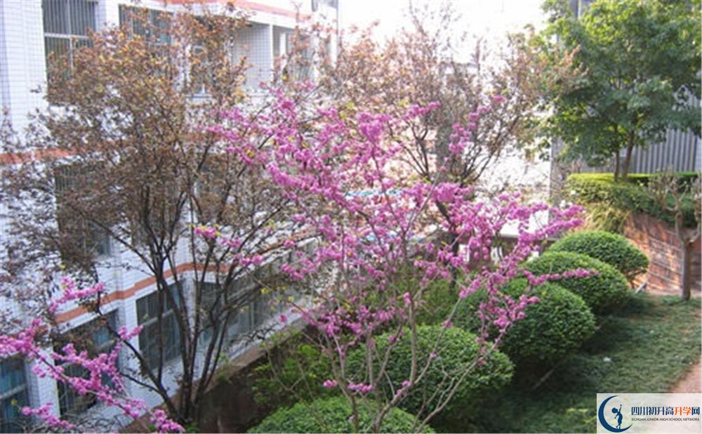 簡(jiǎn)陽(yáng)三星中學(xué)2020年分?jǐn)?shù)線是多少分？