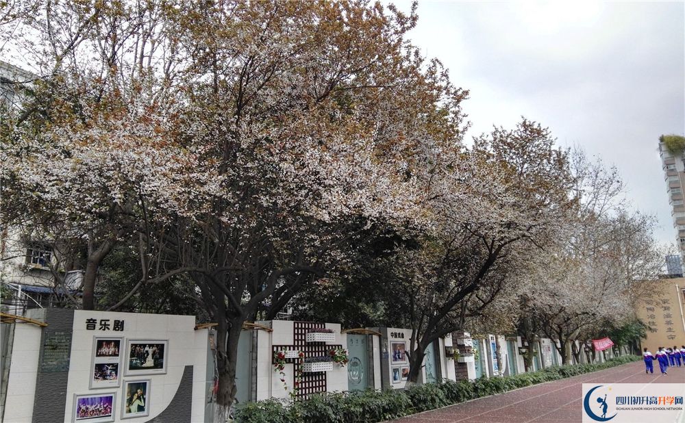 成都大學附屬中學2020年高考成績好不好？