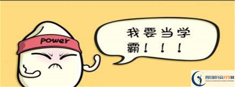北二外成都附中2021清華北大錄取學生多少？