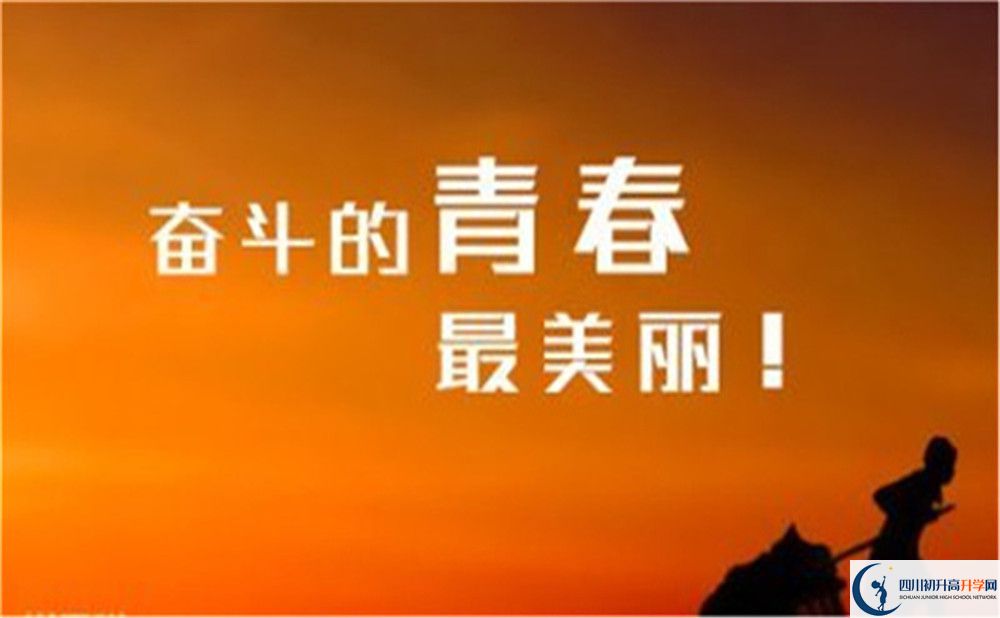 2023年成都市成都實外新都五龍山學校重本升學率是多少？